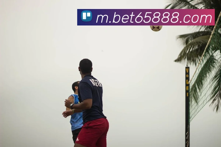 bet365comAPP 封面图